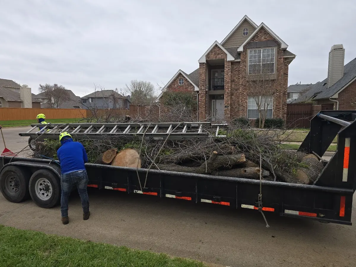 Expert Tree Pest Control with proper safety equipment in San Miguel